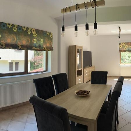 Vila 7 Predeal - Unique Location In The Forest Zewnętrze zdjęcie