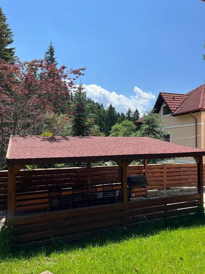 Vila 7 Predeal - Unique Location In The Forest Zewnętrze zdjęcie