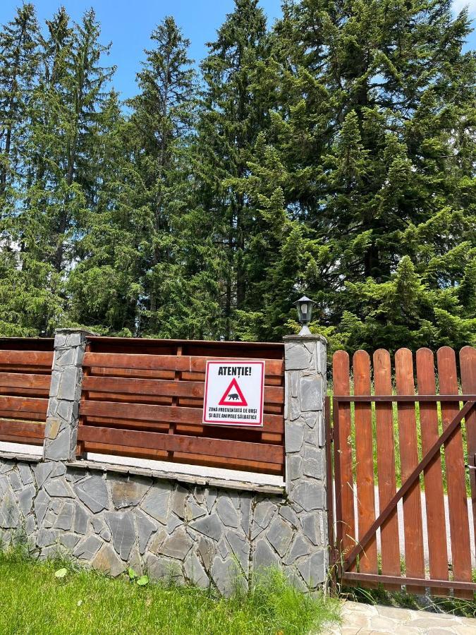 Vila 7 Predeal - Unique Location In The Forest Zewnętrze zdjęcie